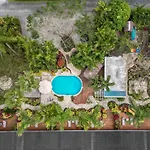 Rarotonga Daydreamer Escape