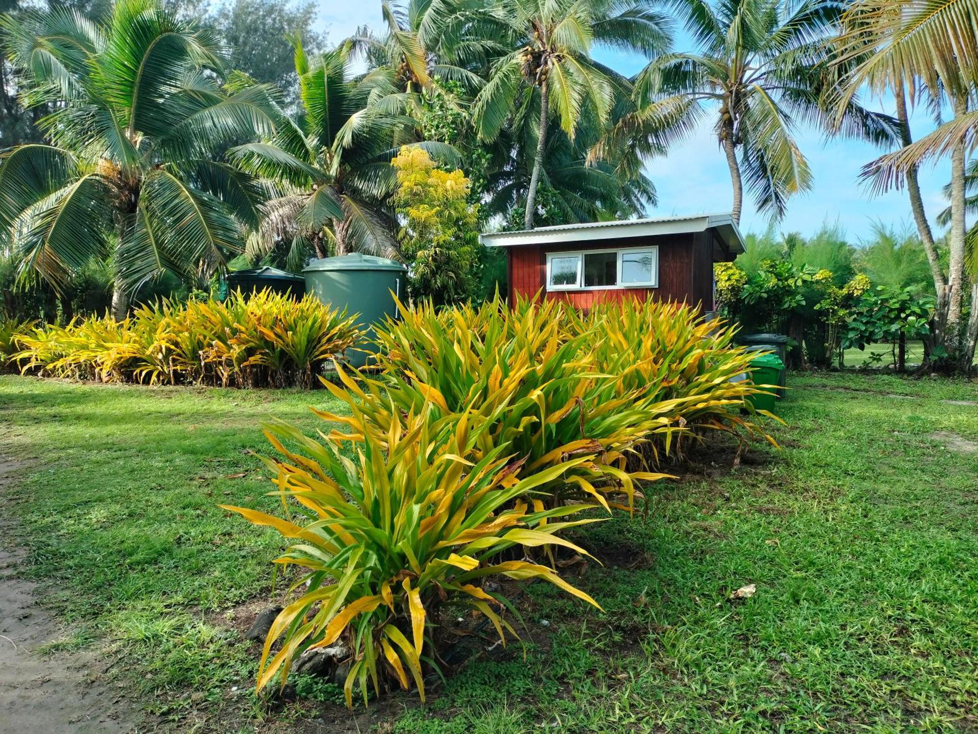 Oronga Holiday home