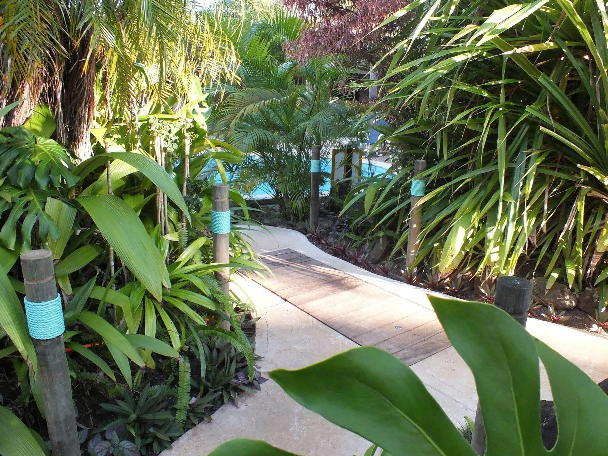 Daydreamer Escape * Rarotonga