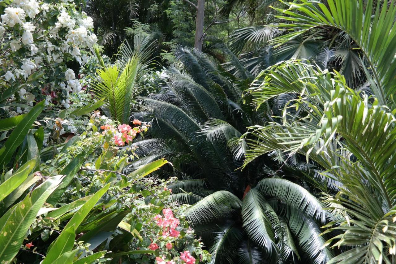 Muri Retreat *