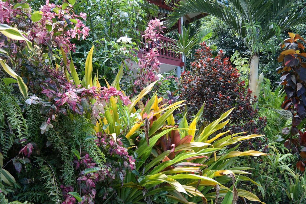 Muri Retreat * Rarotonga