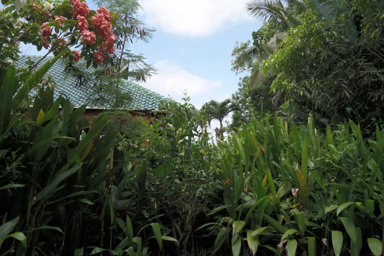 Muri Retreat *