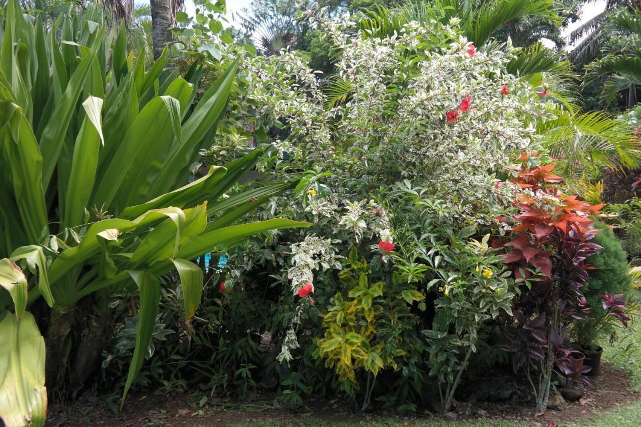 Muri Retreat *