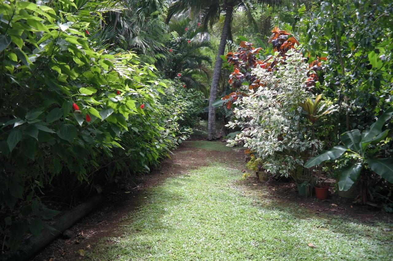 Muri Retreat Rarotonga