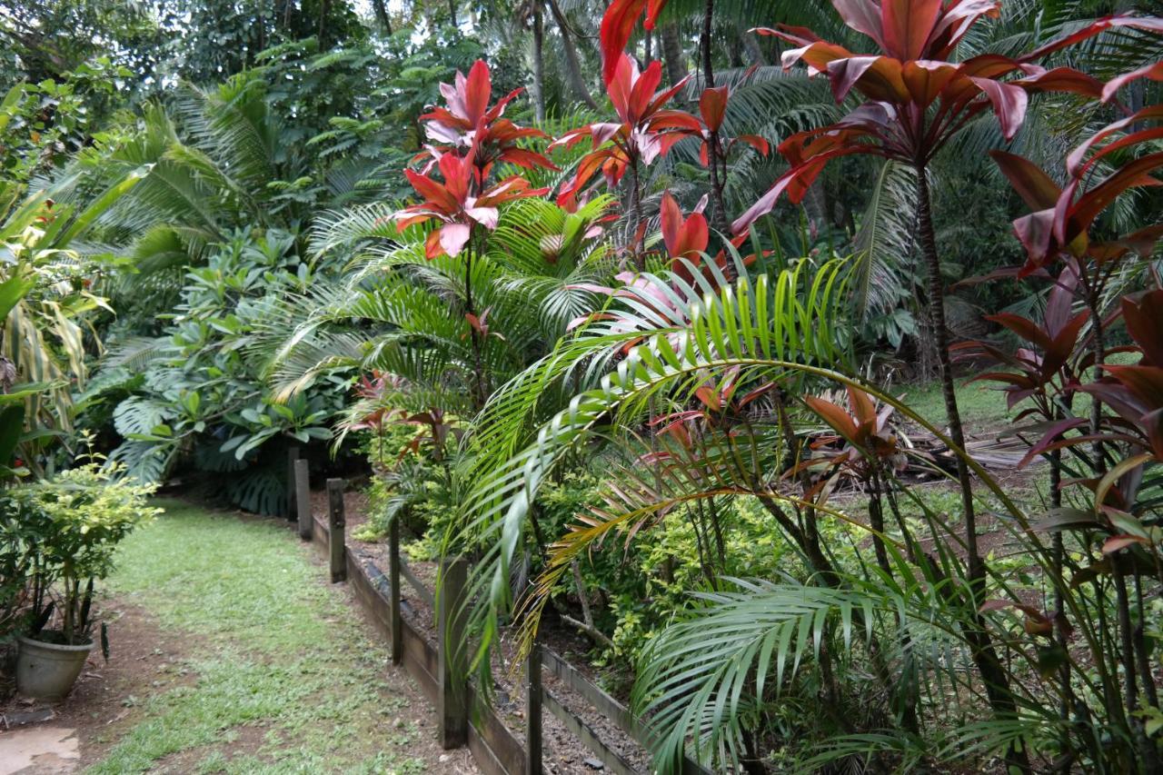 Muri Retreat Apartment