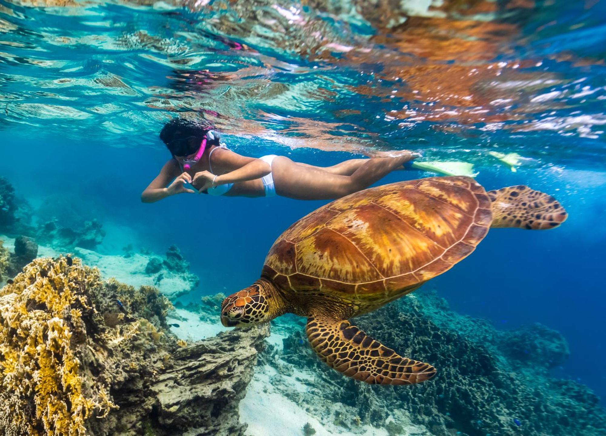 The Rarotongan & Lagoonarium Rarotonga
