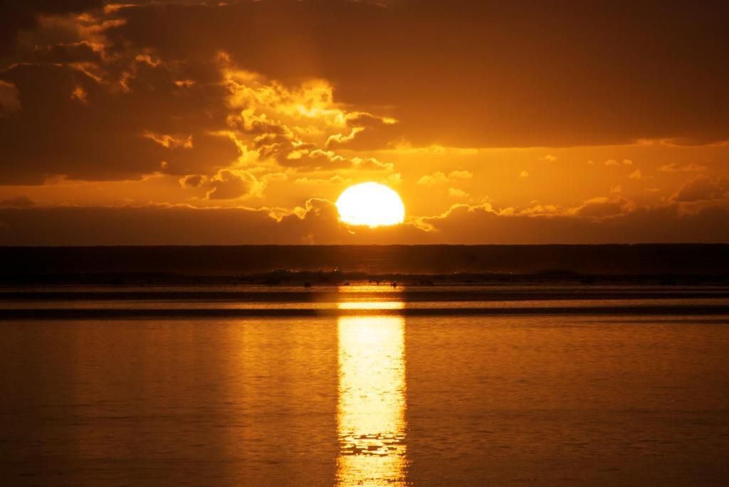 The Black Pearl Beachside Rarotonga