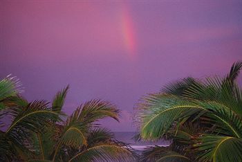 Tropical Sands *