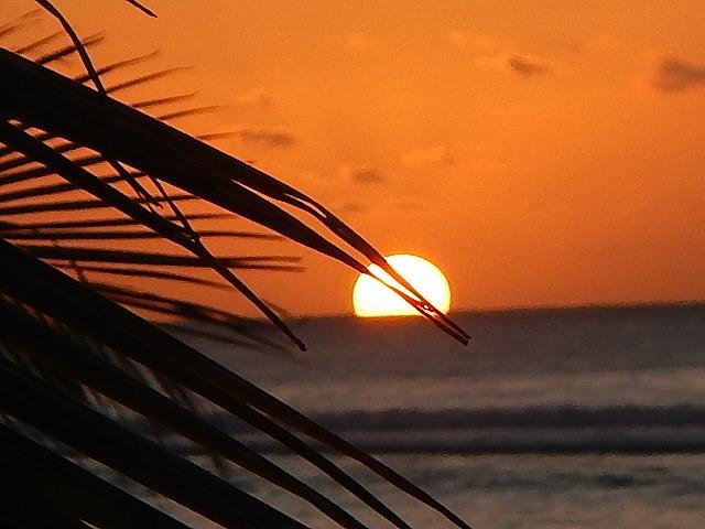 Motel Reefcomber Sunset 2*