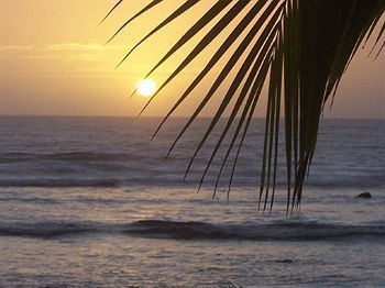 Tropical Sands *