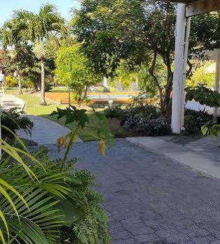 The Black Pearl Beachside Apartment Rarotonga